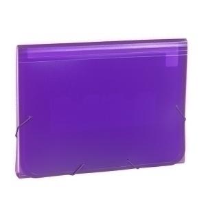 CLASIFICADOR ACORDEON CARCHIVO PP TRANSL. Fº 13 DPTOS.GOMAS VIOLETA