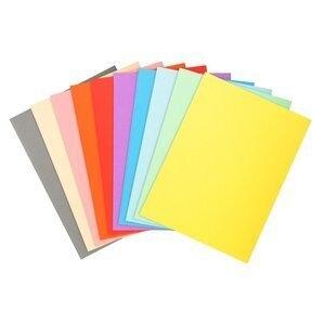 SUBCARPETA EXACOMPTA FOREVER 170g A4 SURTIDO PAQUETE de 100