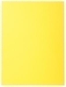 SUBCARPETA EXACOMPTA FOREVER 220 220G A4 AMARILLO P/100 /410005E