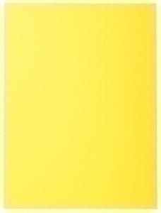 SUBCARPETA EXACOMPTA FOREVER 220 220g A4 AMARILLO PAQUETE de 100