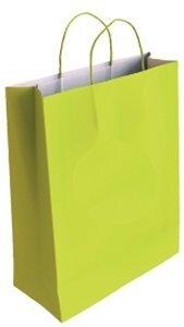 BOLSA de PAPEL ANDINA KRAFT BLANCO 18x24x8 cm PISTACHO PAQUETE de 50