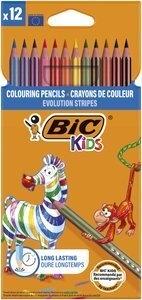 LAPICES de COLORES BIC EVOLUTION STRIPES estuche de 12