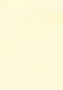 PAPEL VERJURADO A4 APLI 200g 20h CREMA