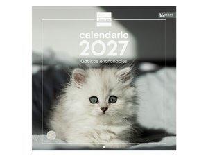 CALENDARIO (2027) FINOCAM PARED IMAGENES MENSUAL PARA ESCRIBIR 300x300 GATITOS