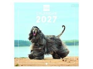 CALENDARIO (2027) FINOCAM INTERNACIONAL PARED IMAGENES MENSUAL PARA ESCRIBIR 180x180 DOGS