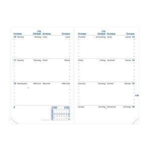 RECAMBIO AGENDA ANUAL (2027) QUO VADIS SAPA X ML 100x150 S/V 2 PAG.